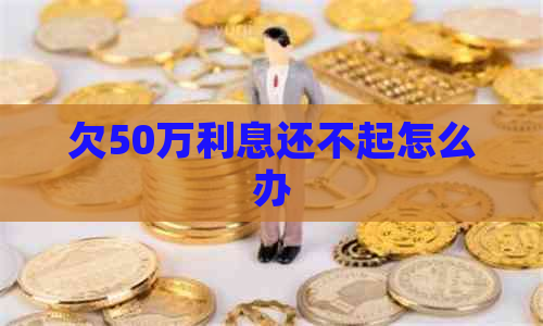 欠50万利息还不起怎么办