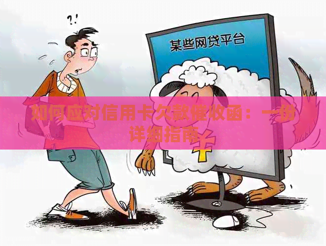 如何应对信用卡欠款函：一份详细指南