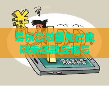 易乐金融通知已逾期未还款应该怎么办