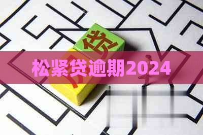 松紧贷逾期2024