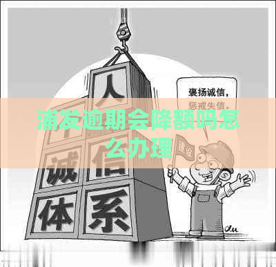 浦发逾期会降额吗怎么办理