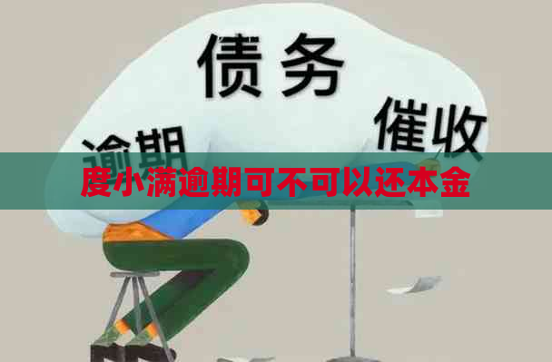 度小满逾期可不可以还本金