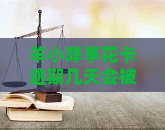 羊小咩享花卡逾期几天会被吗