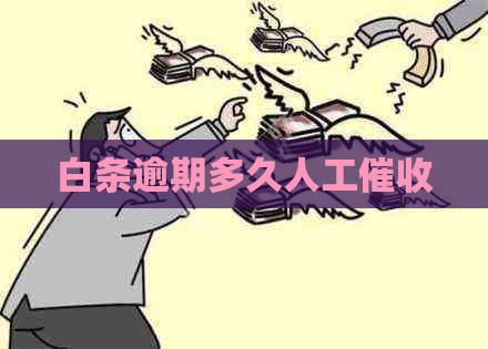 白条逾期多久人工