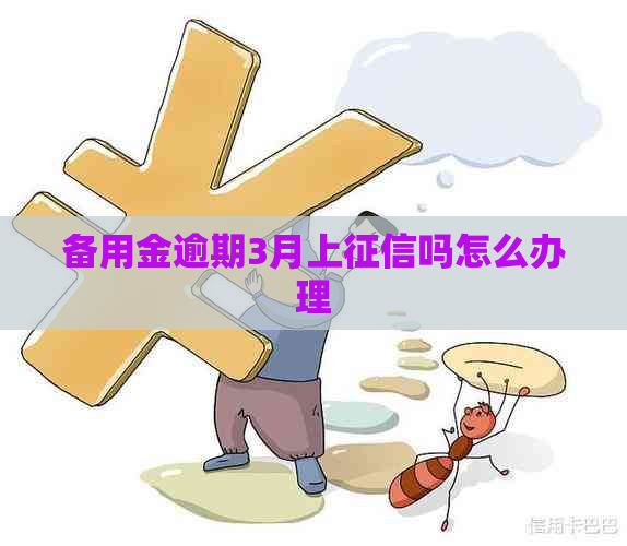 备用金逾期3月上吗怎么办理