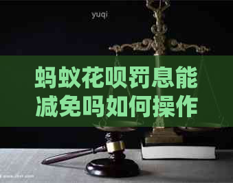 蚂蚁花呗罚息能减免吗如何操作