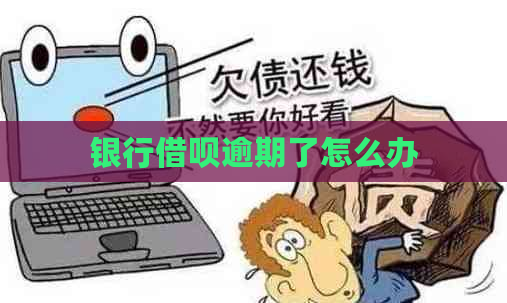 银行借呗逾期了怎么办