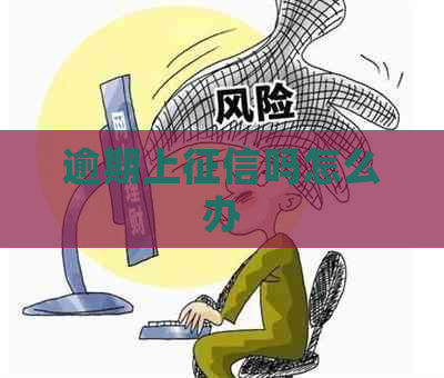 逾期上吗怎么办