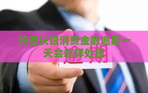 陕西长银消费金融逾期一天会怎样处理