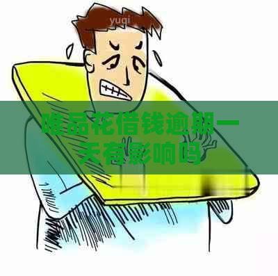 唯品花借钱逾期一天有影响吗