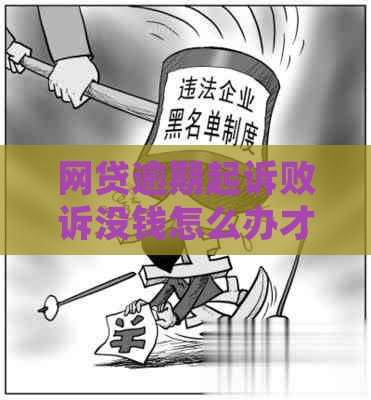 网贷逾期起诉败诉没钱怎么办才好