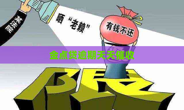 金点贷逾期天天