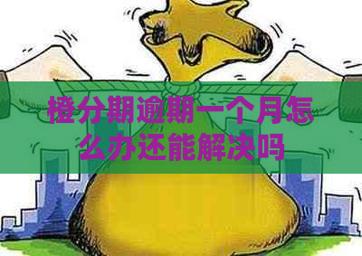橙分期逾期一个月怎么办还能解决吗