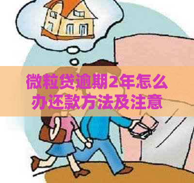 微粒贷逾期2年怎么办还款方法及注意事项