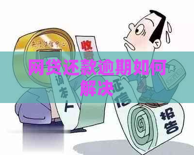 网贷还款逾期如何解决