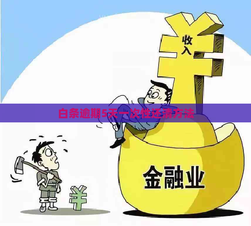 白条逾期5天一次性还清方法
