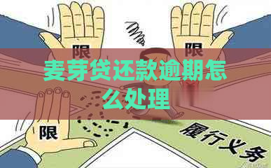 麦芽贷还款逾期怎么处理