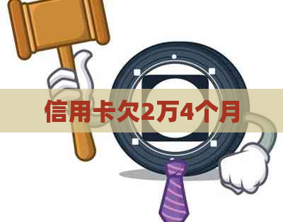 信用卡欠2万4个月