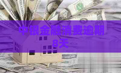 中银金融消费逾期8天