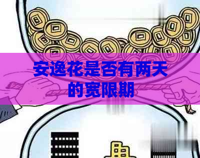 安逸花是否有两天的宽限期