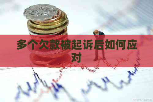 多个欠款被起诉后如何应对