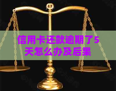 信用卡还款逾期了5天怎么办及后果