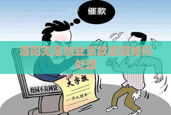 洛阳无息创业贷款逾期如何处理