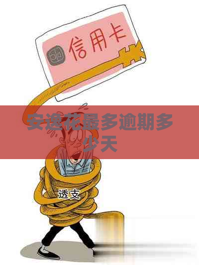 安逸花最多逾期多少天