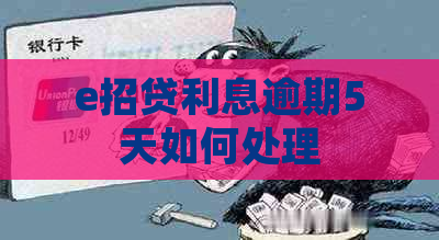 e招贷利息逾期5天如何处理