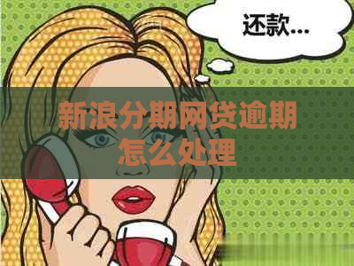 新浪分期网贷逾期怎么处理