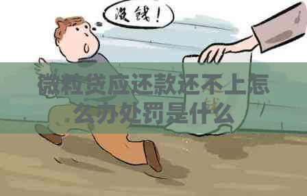 微粒贷应还款还不上怎么办处罚是什么