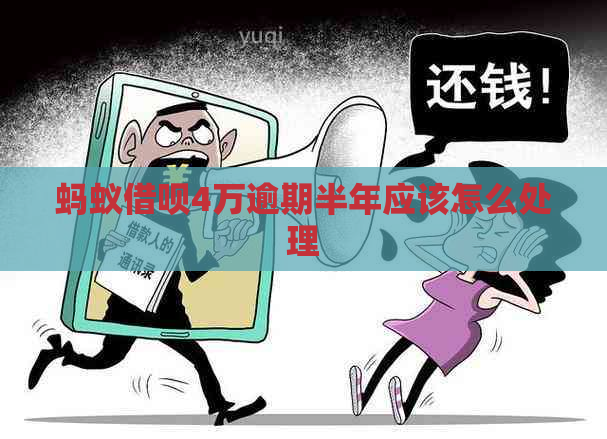 蚂蚁借呗4万逾期半年应该怎么处理