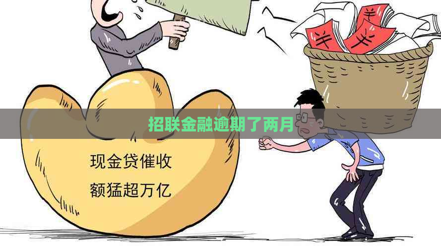 招联金融逾期了两月