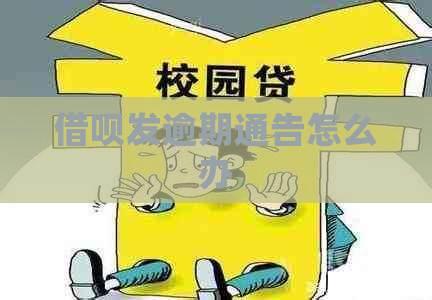 借呗发逾期通告怎么办