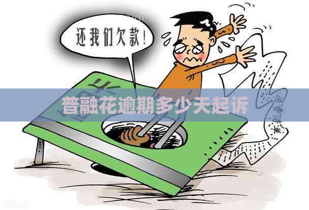 普融花逾期多少天起诉