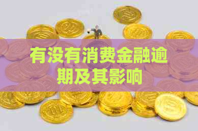 有没有消费金融逾期及其影响