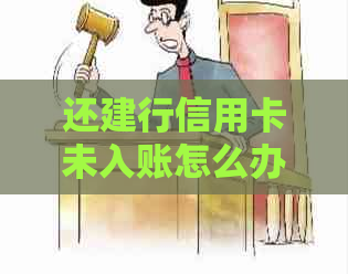 还建行信用卡未入账怎么办
