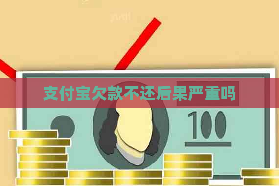 支付宝欠款不还后果严重吗