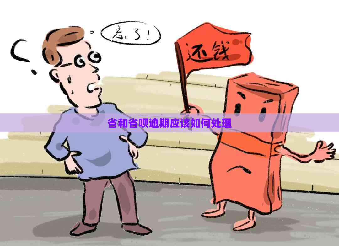 省和省呗逾期应该如何处理