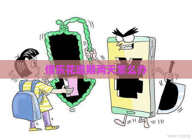 借乐花逾期两天怎么办