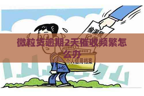 微粒贷逾期2天频繁怎么办