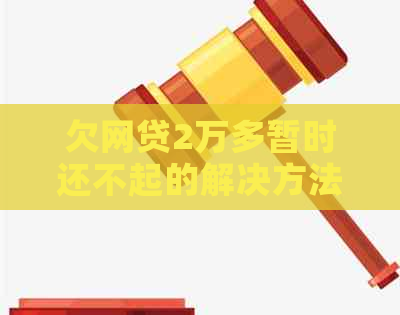欠网贷2万多暂时还不起的解决方法