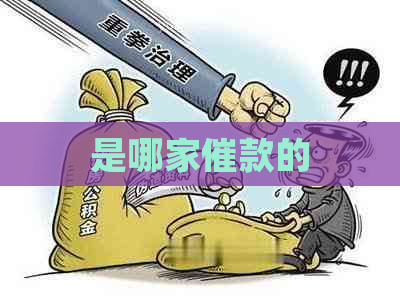 是哪家催款的