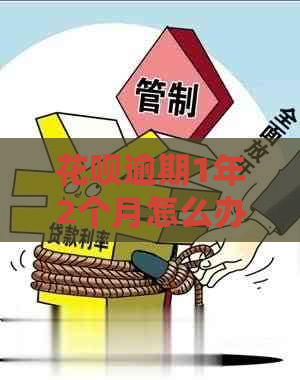 花呗逾期1年2个月怎么办