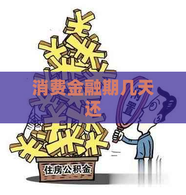 消费金融期几天还
