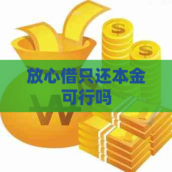 放心借只还本金可行吗