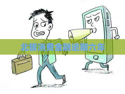 北银消费金融逾期六年