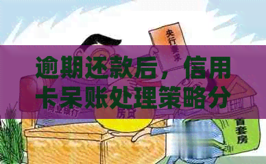 逾期还款后，信用卡呆账处理策略分析