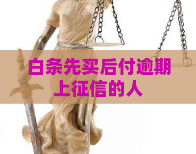 白条先买后付逾期上的人