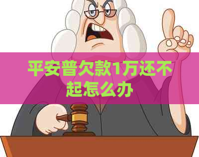 平安普欠款1万还不起怎么办